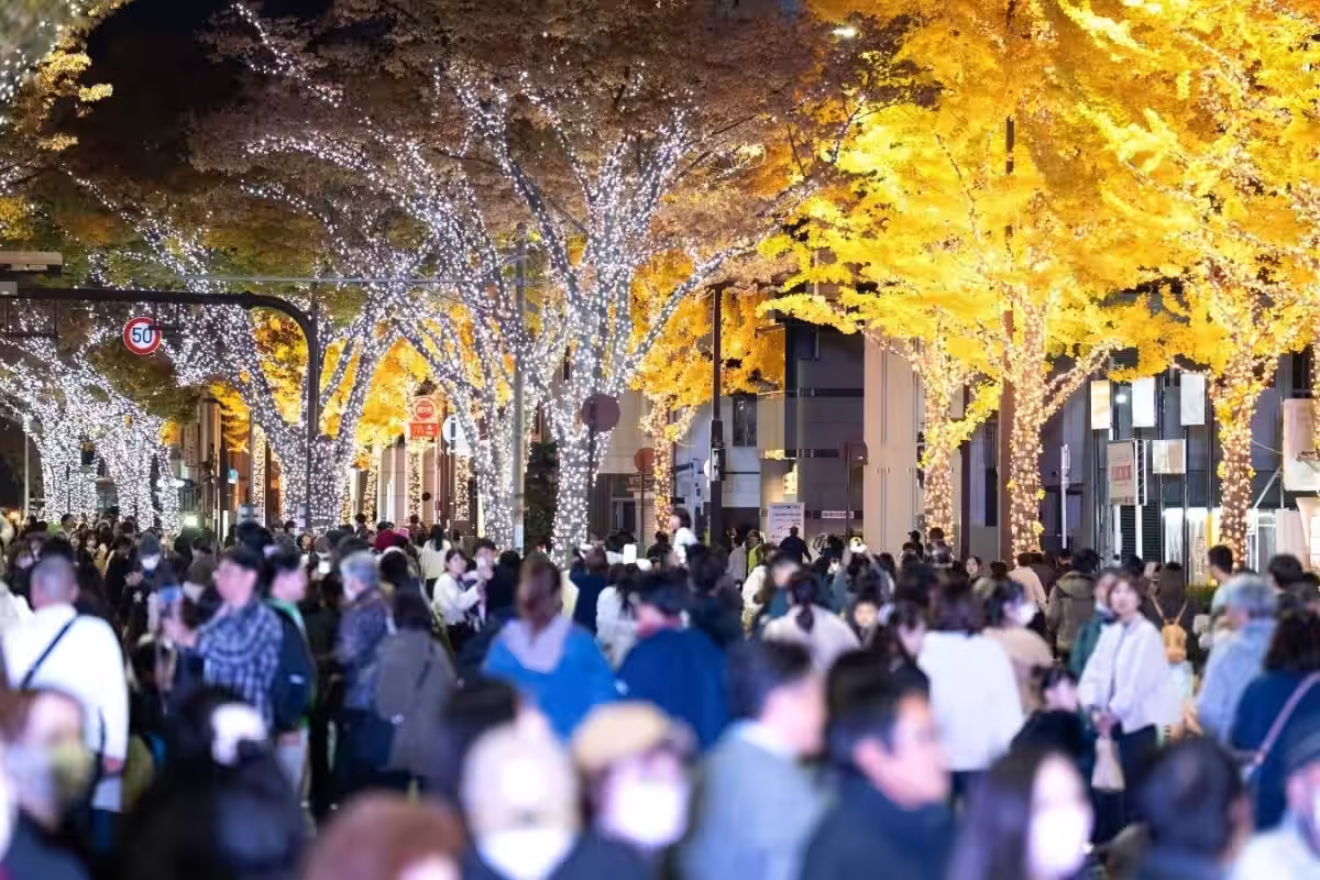 画像8