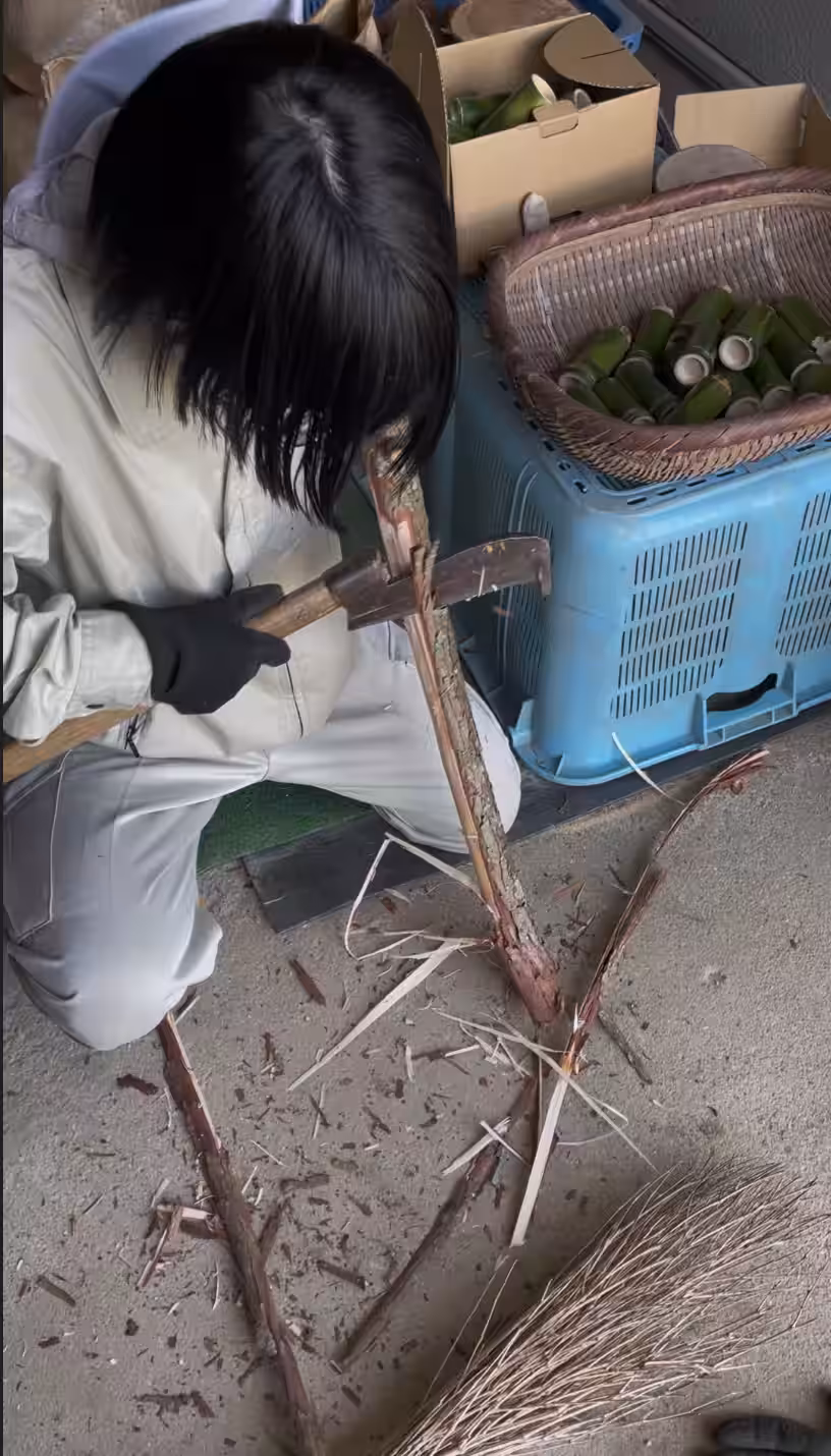 画像15