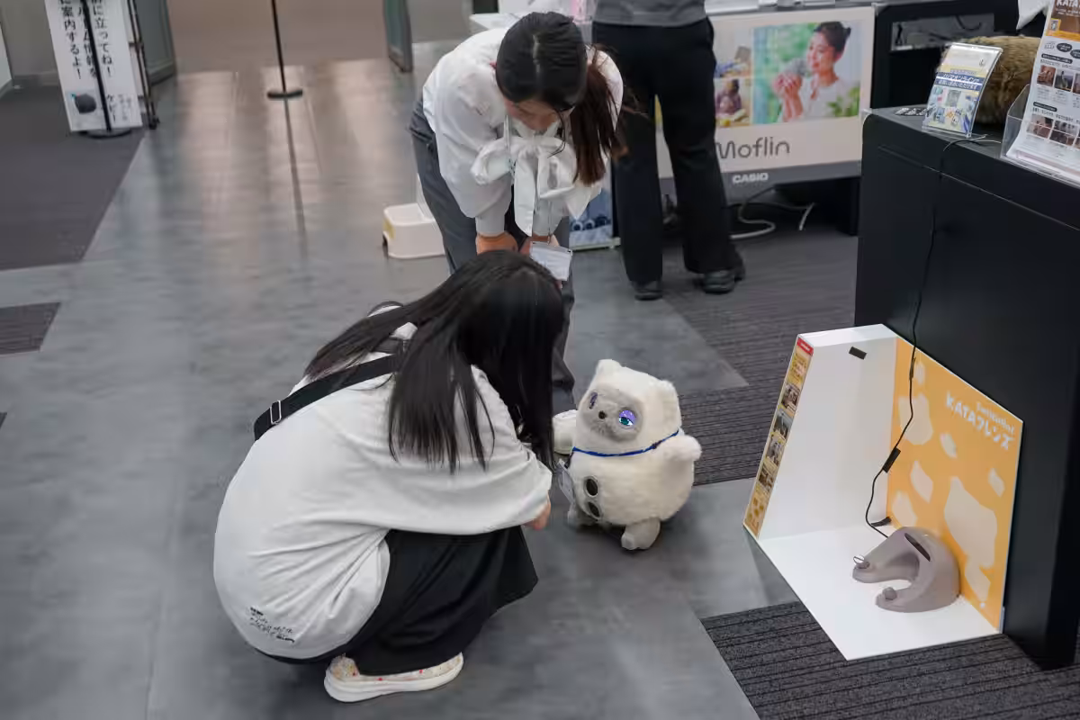 画像12