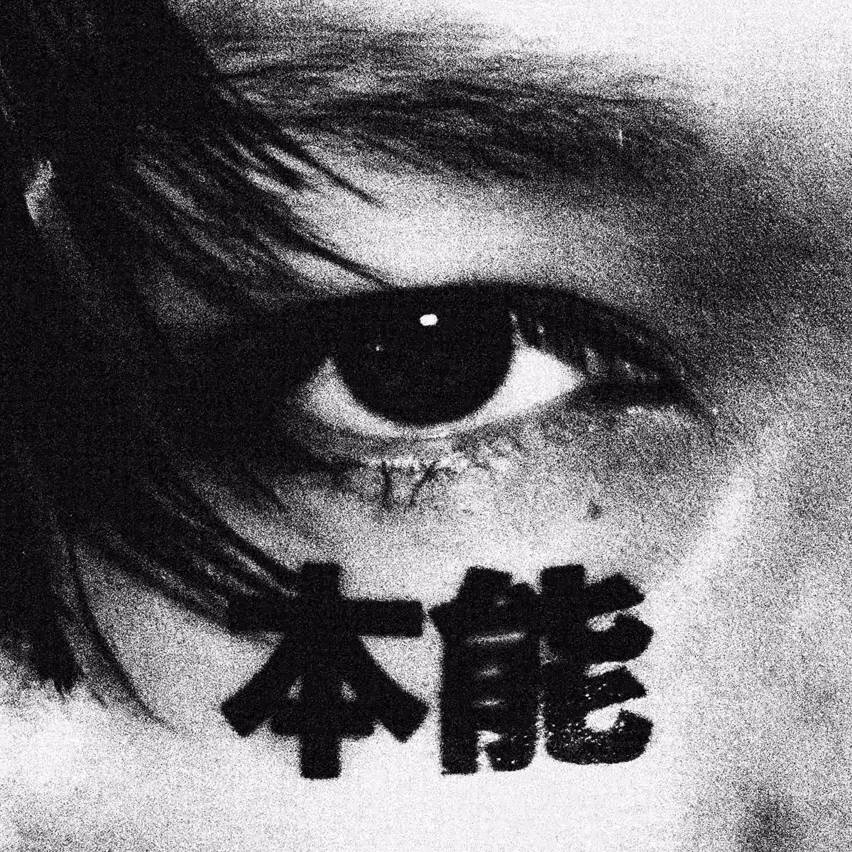 画像12