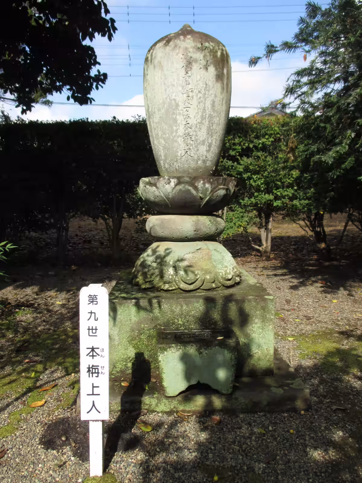 画像2