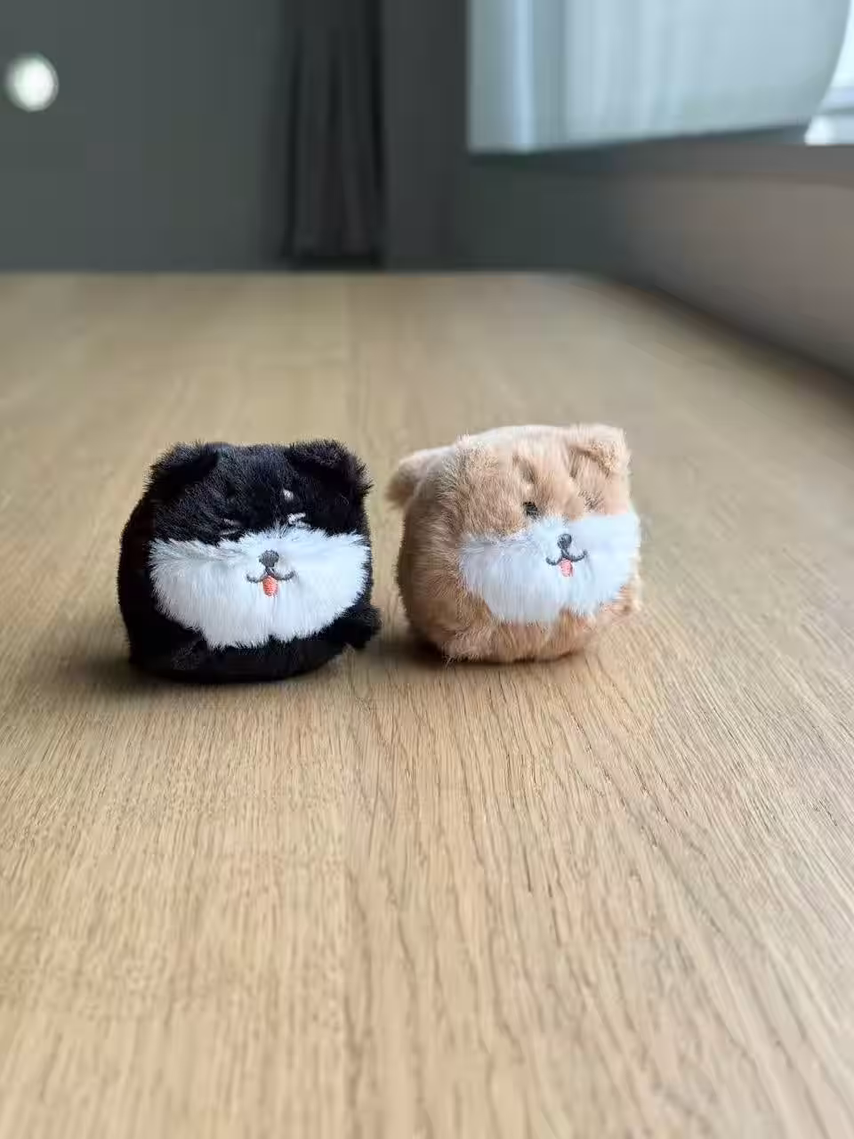 画像10