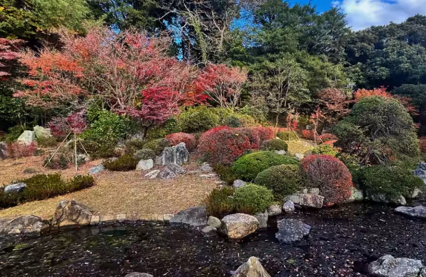 画像4
