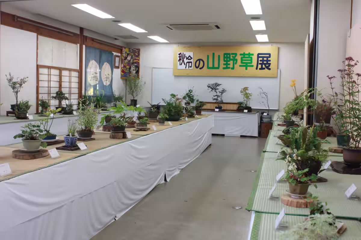画像23