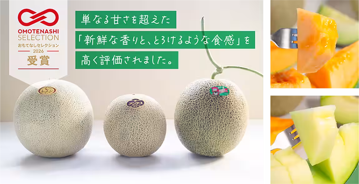 画像6