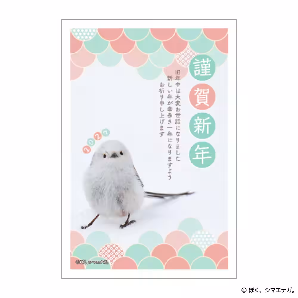 画像8