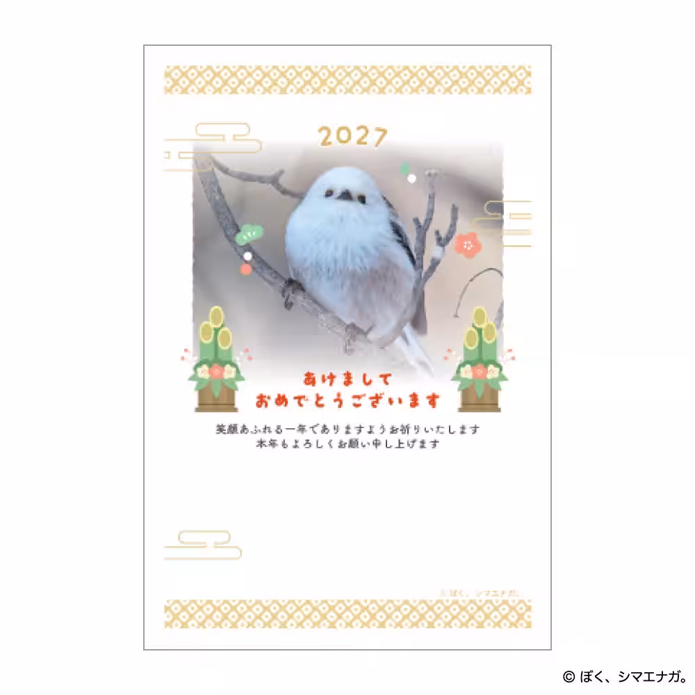 画像7