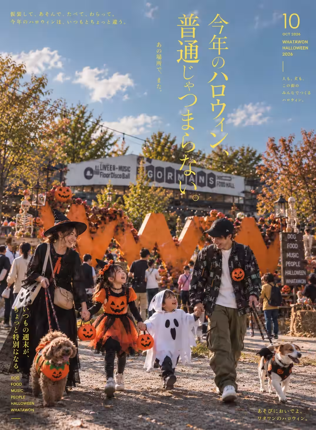 画像12