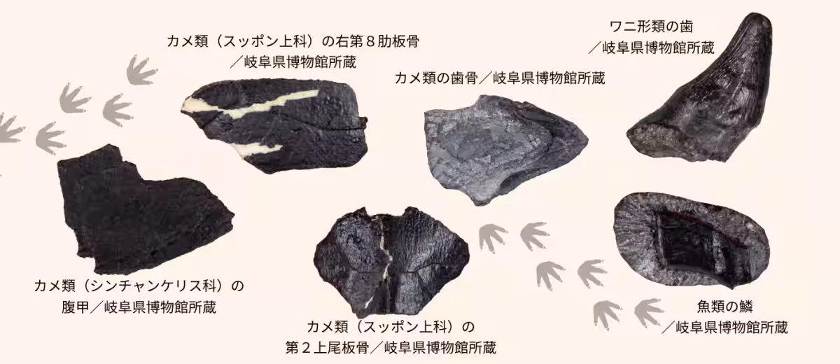 画像11