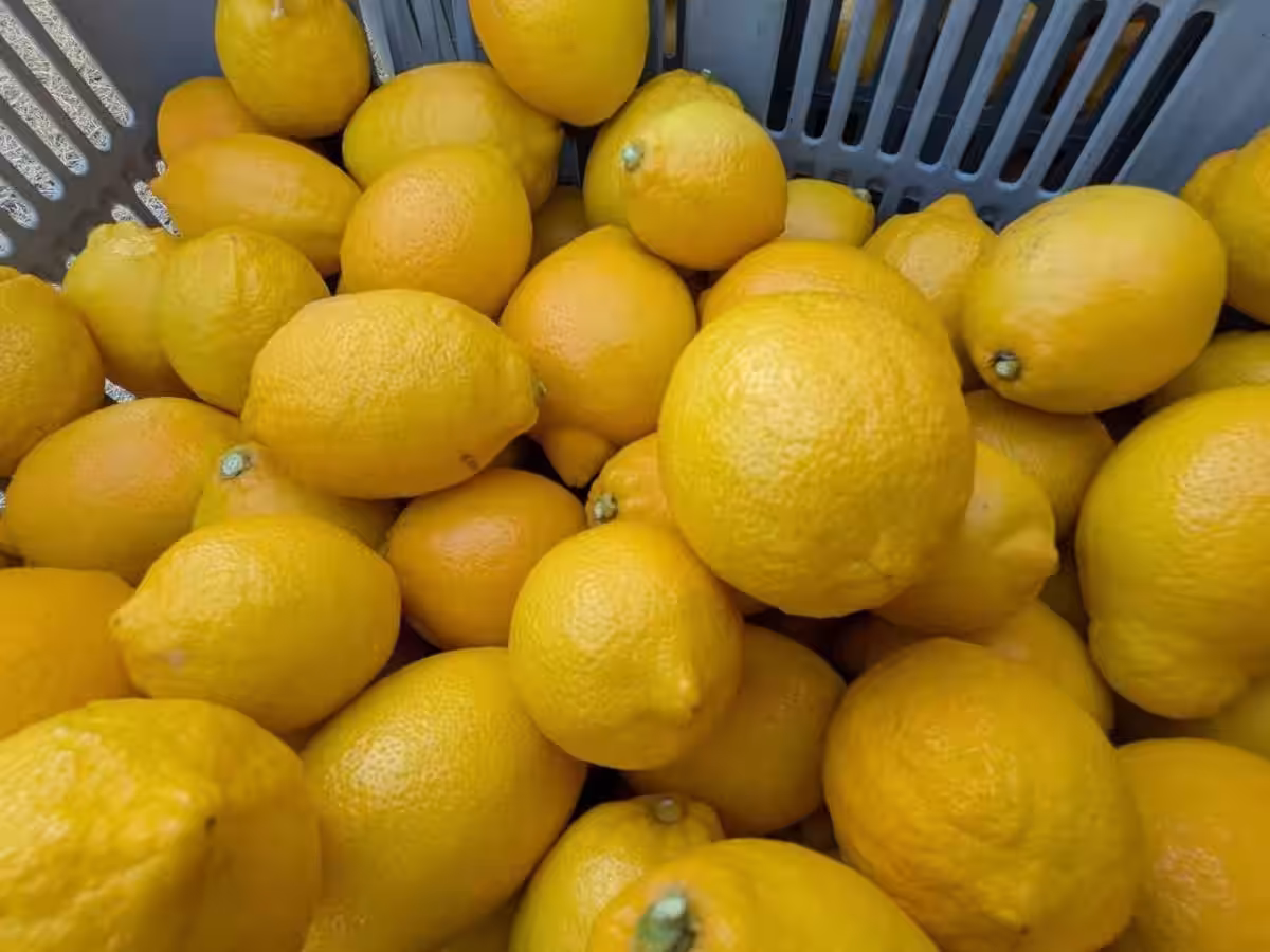 画像12