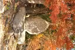画像12