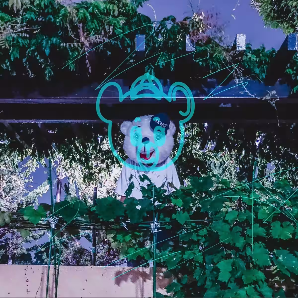 画像3