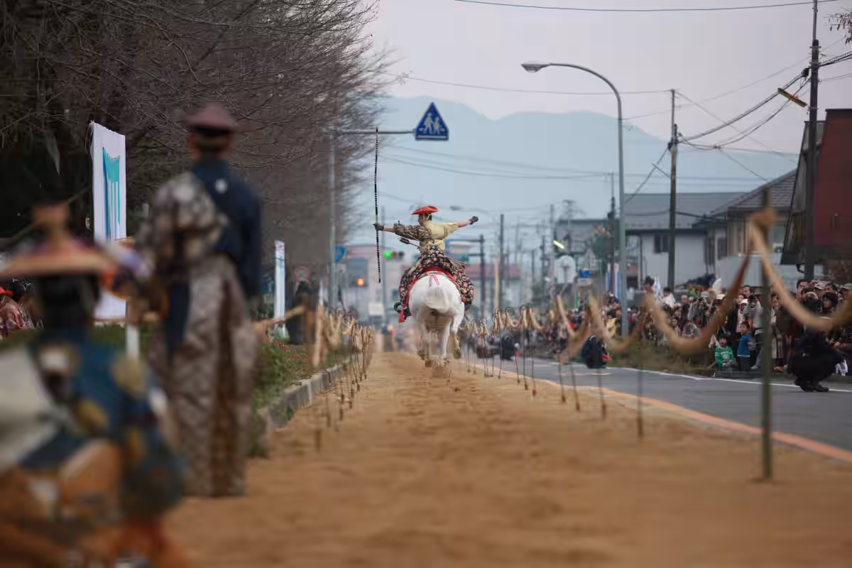 画像14