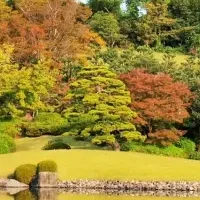 万博記念公園 紅葉まつり
