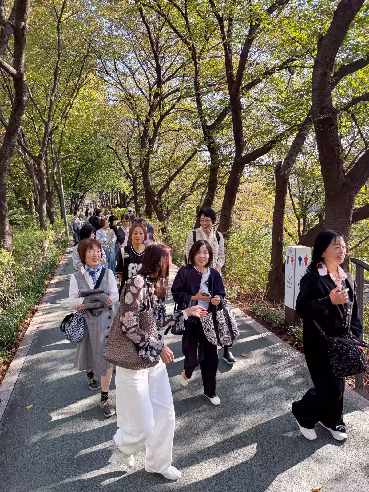 画像7