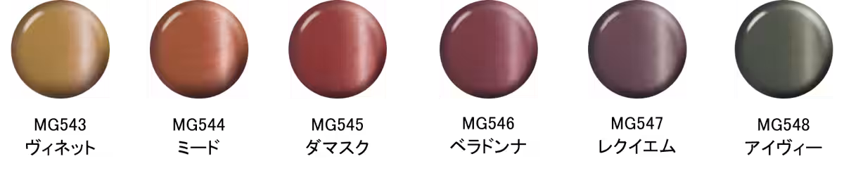 画像4