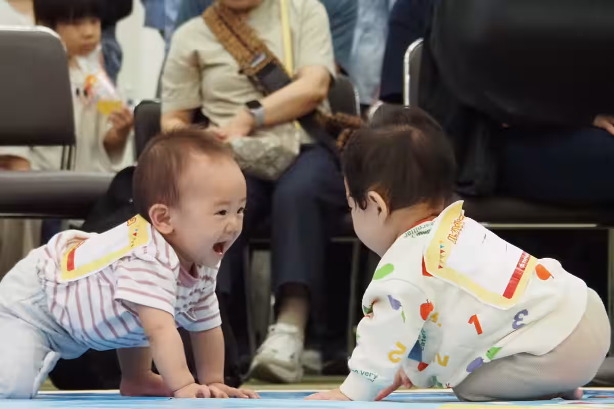 画像7