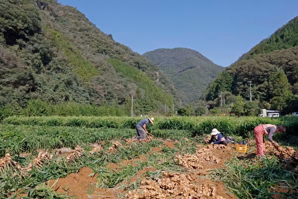 画像3