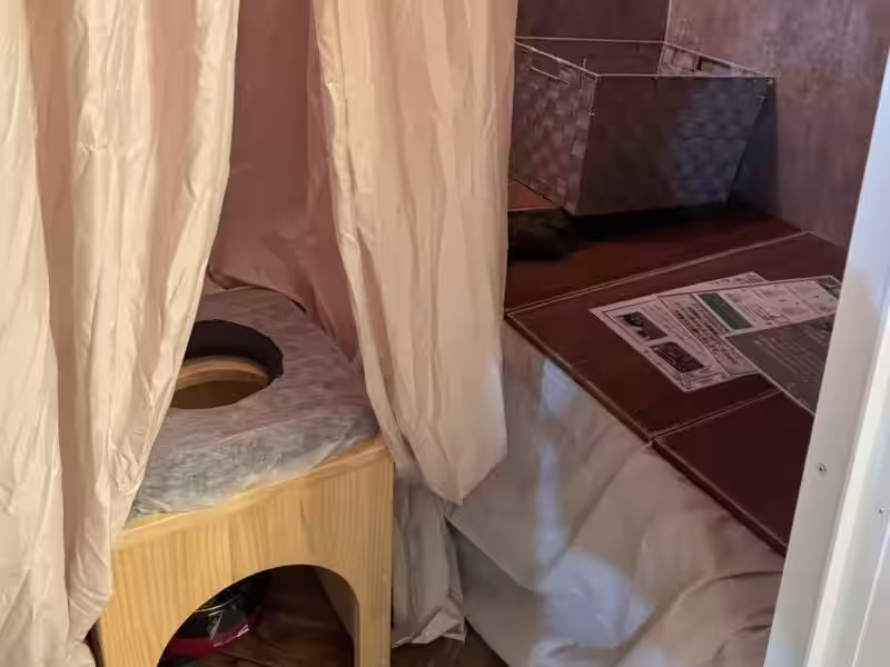 画像13