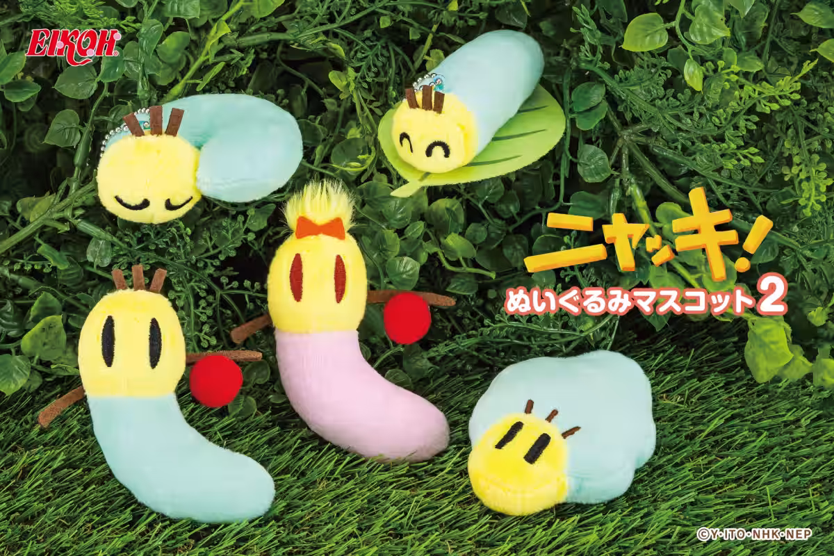 画像1