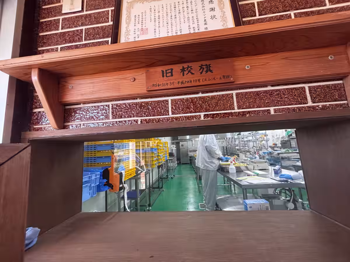 画像3