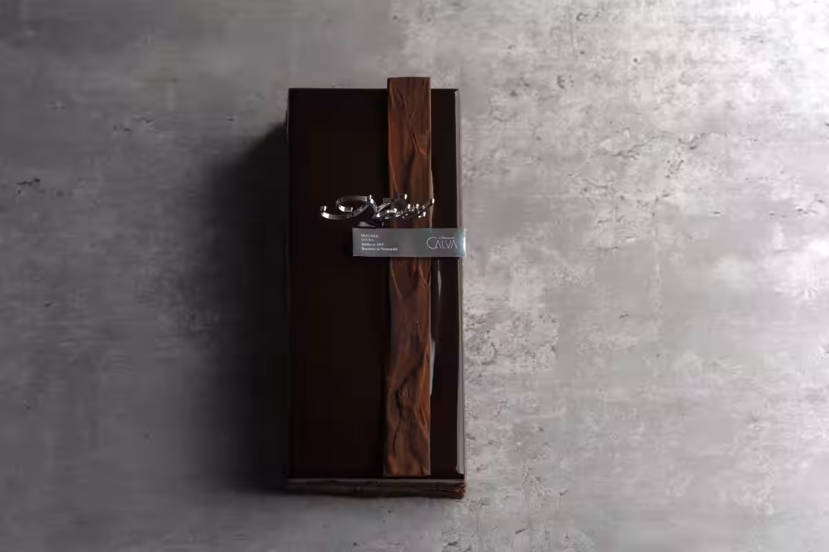 画像5