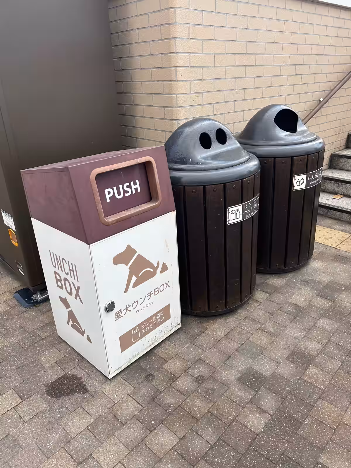 画像8