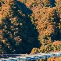竜神峡紅葉まつり