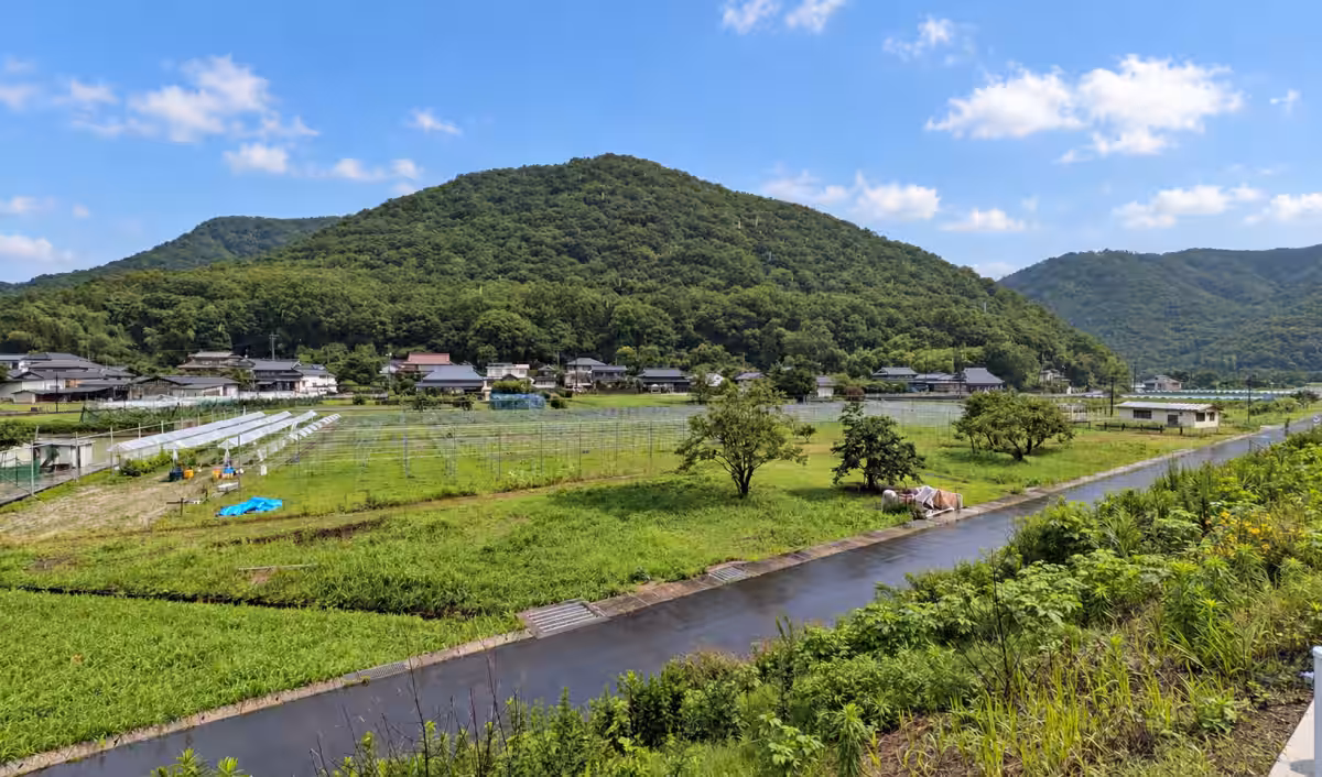 画像5