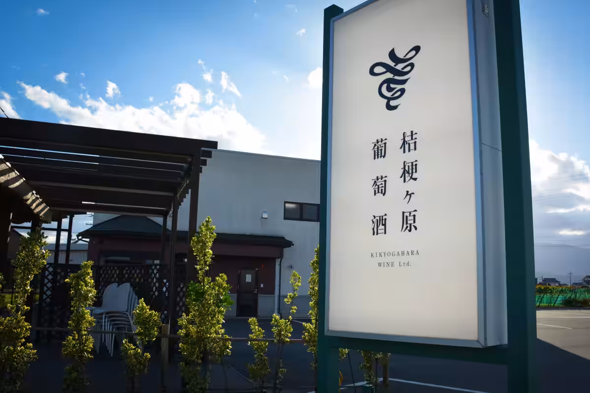 画像8