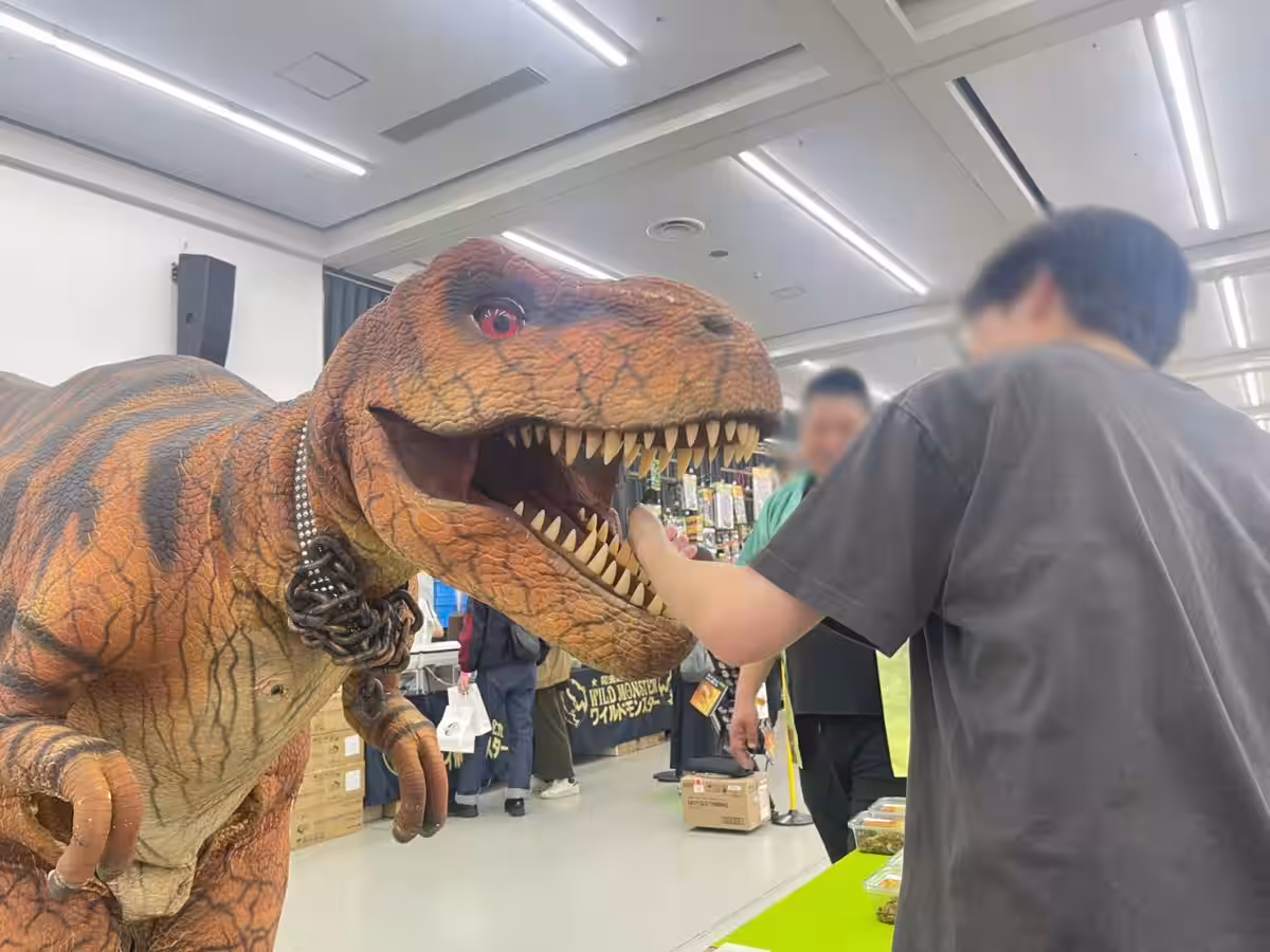 画像13