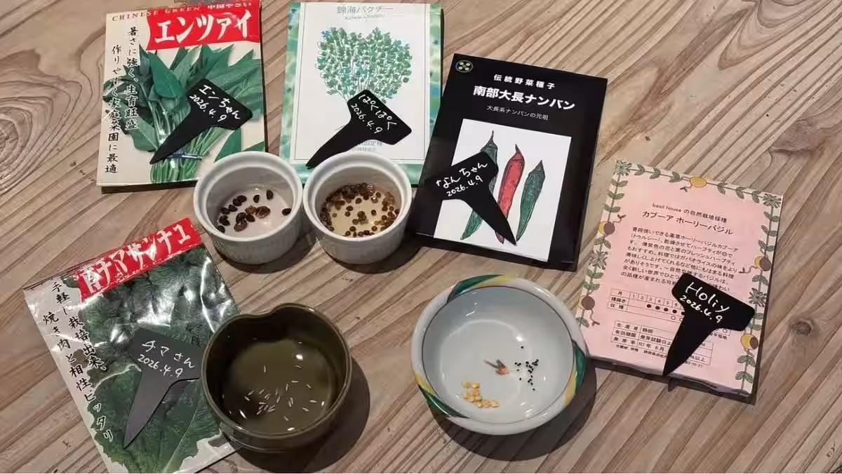 画像5