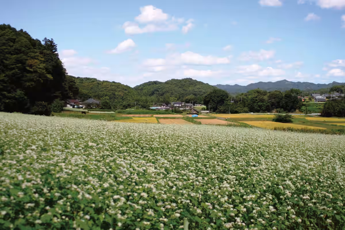 画像9